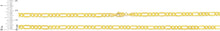 Load image into Gallery viewer, 10k Yellow Gold 4.5mm Lite Figaro Chain Link Necklace
